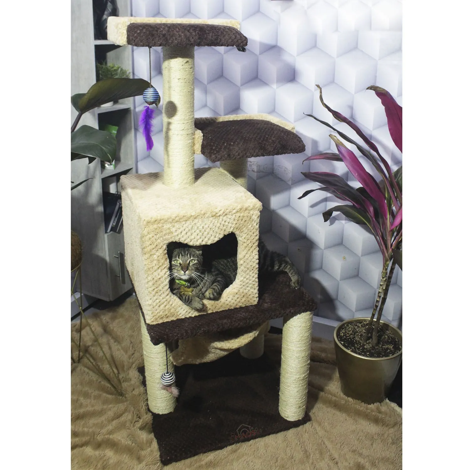 Gimnasio Rascador Para Gatos 50x45x135cm Mediano Café 4