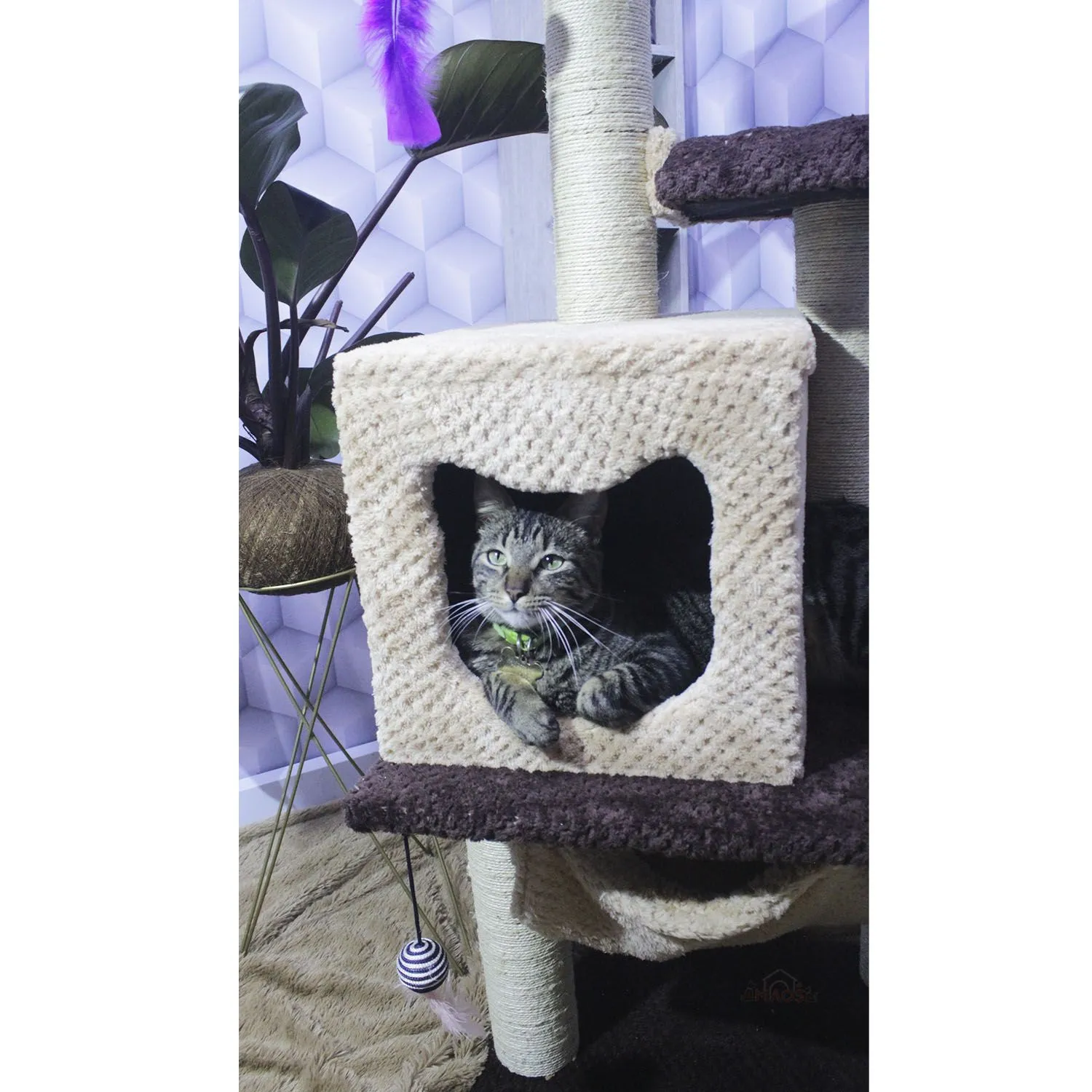 Gimnasio Rascador Para Gatos 50x45x135cm Mediano Café 6