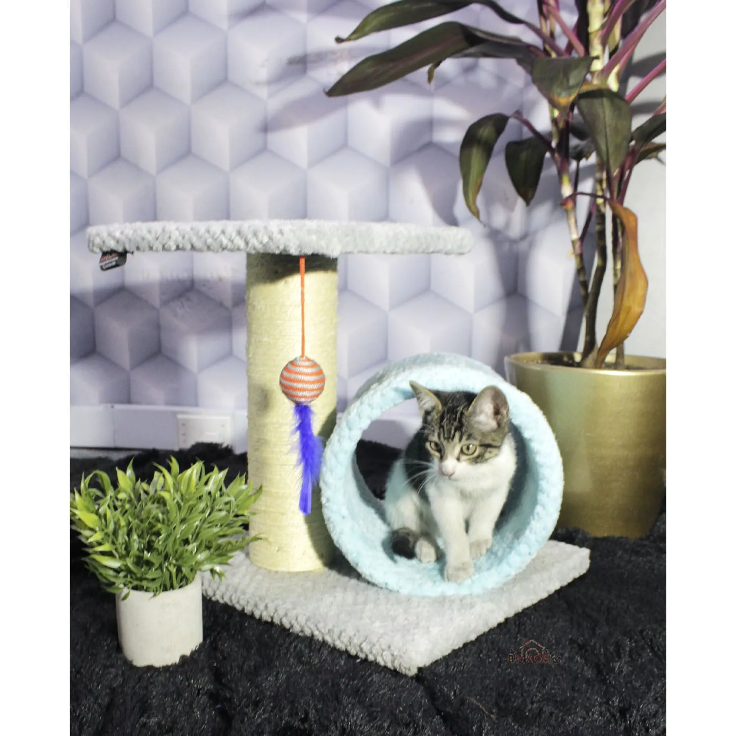 Gimnasio Rascador Para Gatos 35x35x40cm Mediano Gris 4