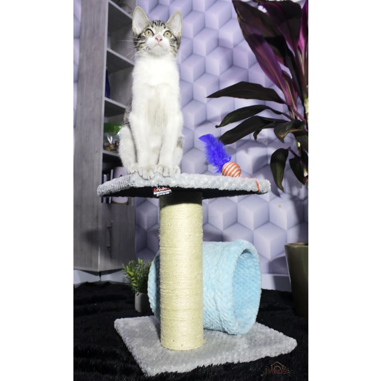 Gimnasio Rascador Para Gatos 35x35x40cm Mediano Gris 6