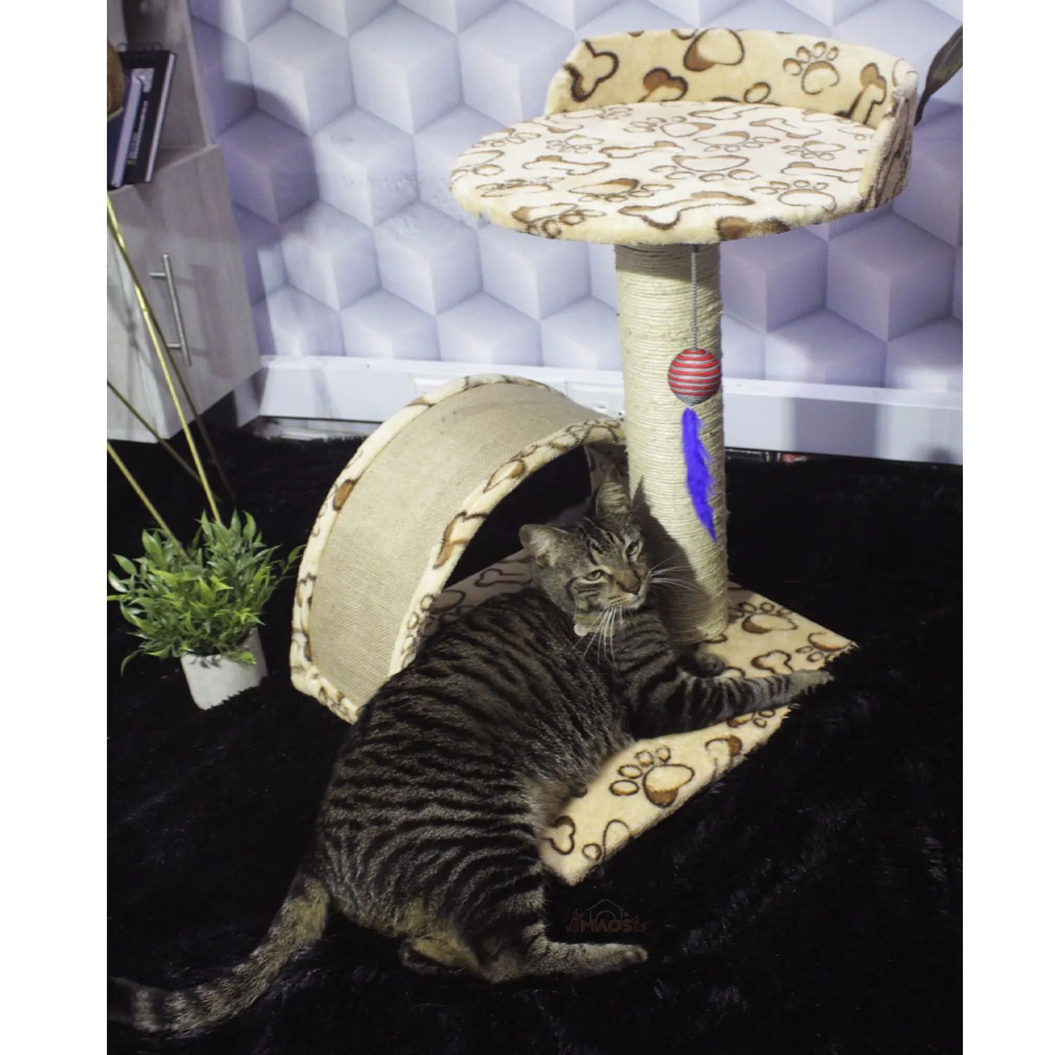 Gimnasio Rascador Para Gatos 40x40x60cm Mediano Beige 4