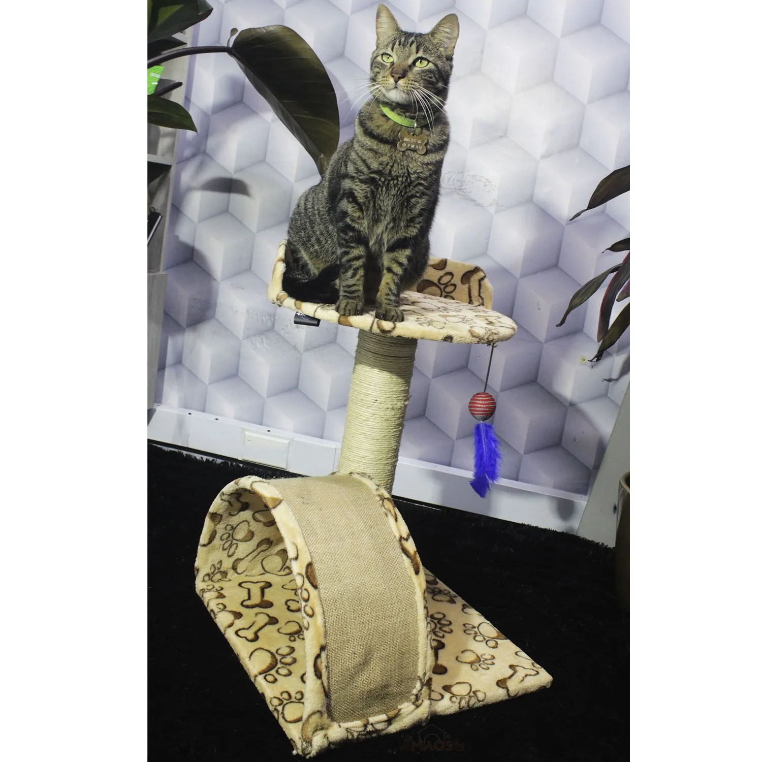 Gimnasio Rascador Para Gatos 40x40x60cm Mediano Beige 5