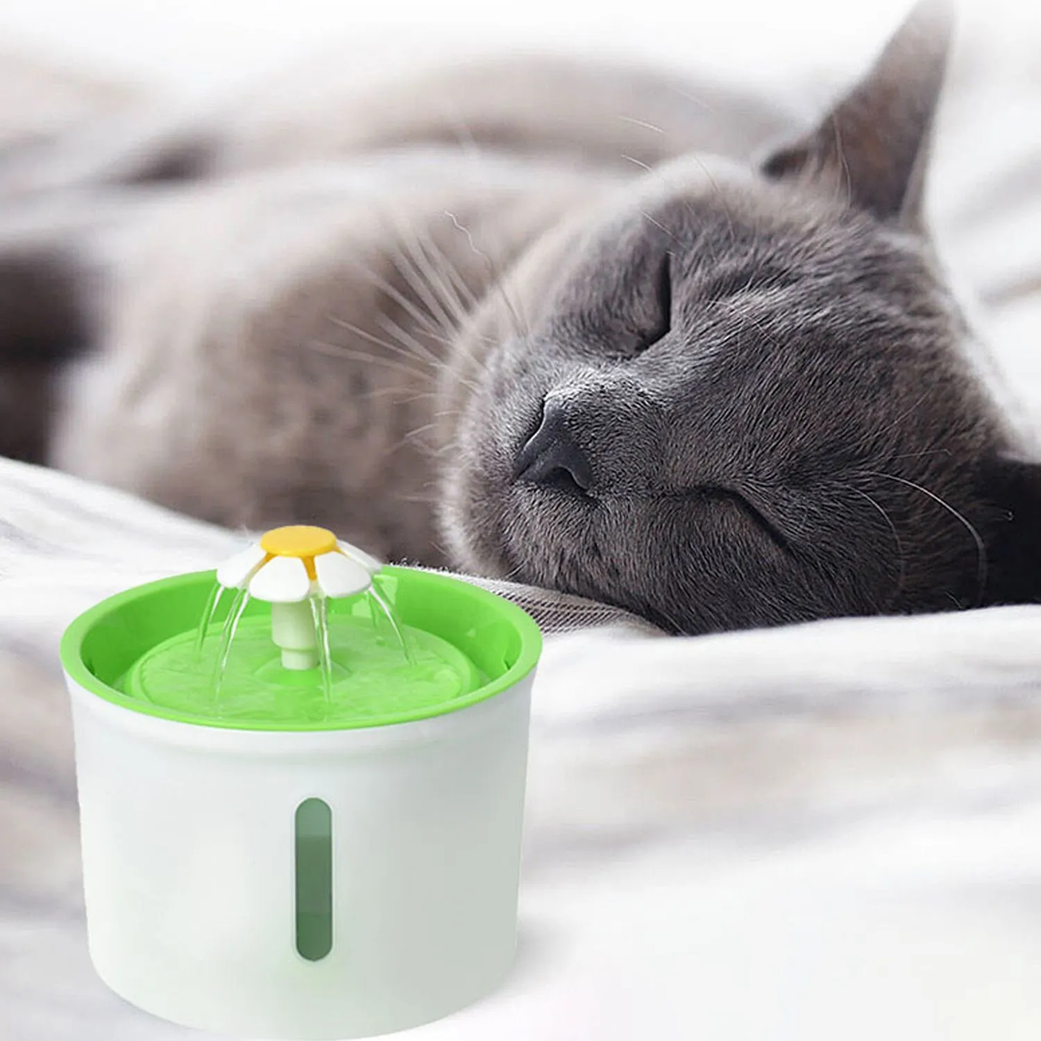 Fuente De Agua Para Perro Purificadora Con Filtro 1.6 Lt Verde 13