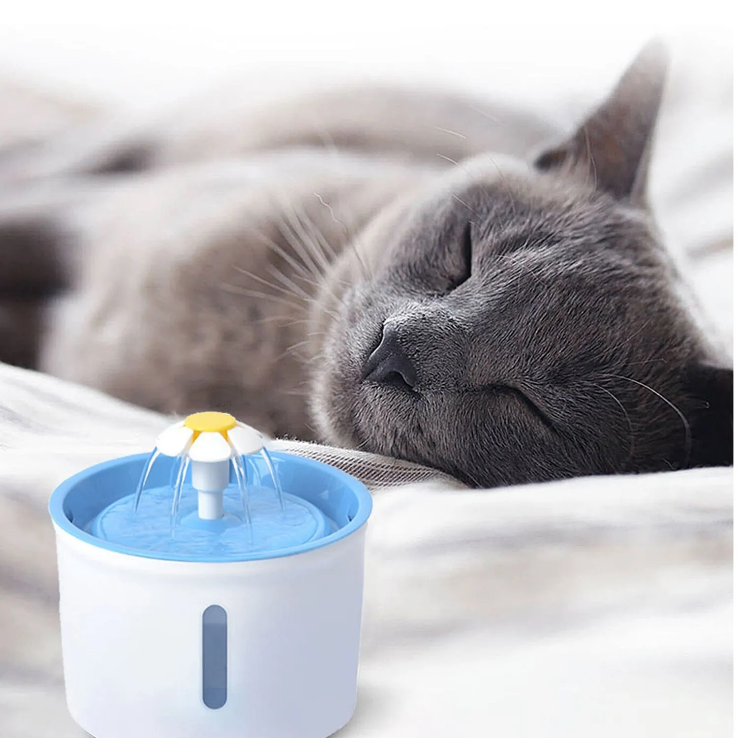 Fuente De Agua Para Perro Purificadora Con Filtro 1.6 Lt Azul 11