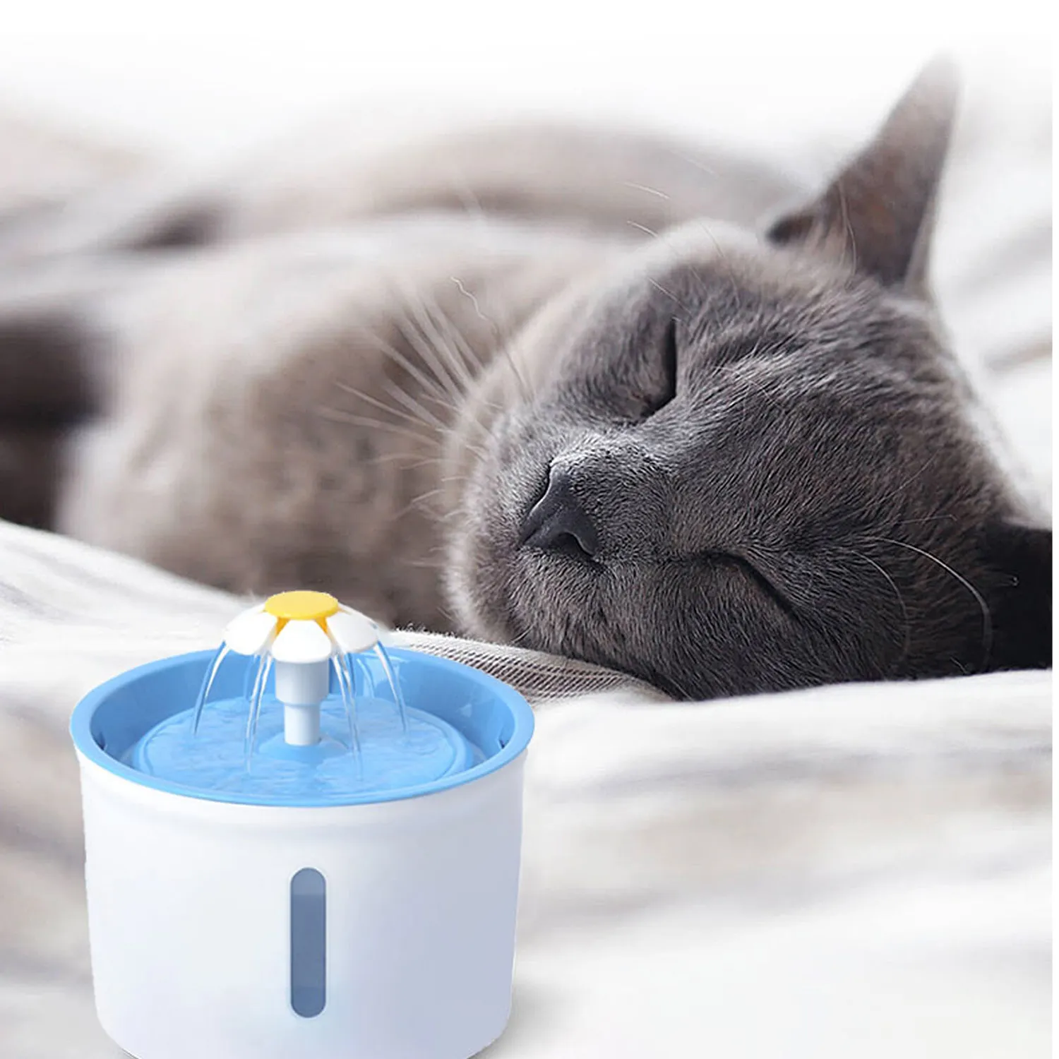 Fuente De Agua Para Perro Purificadora Con Filtro 1.6 Lt Azul