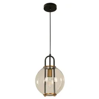 Lámpara Colgante Negro 1 Luz E27 60w