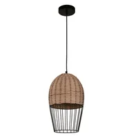 Lámpara Colgante Negro 1 Luz E27 40w