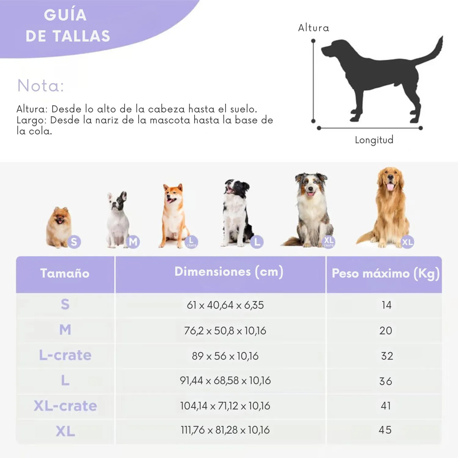 Cama para Perros de Espuma Triturada Gruesa 5