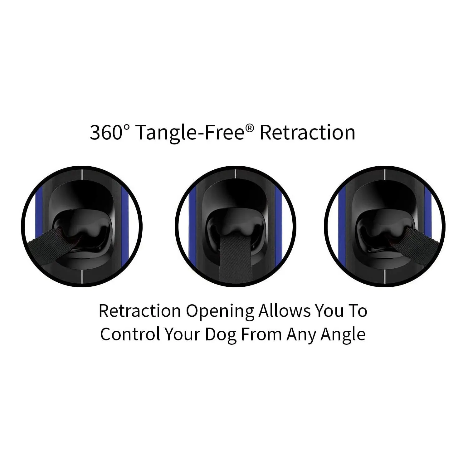 Correa Para Perro  Retráctil Ovalada de 360° Sin Enredos. 4
