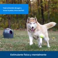 Lanzador de Pelotas PetSafe Automático para Perros con Rango Ajustable