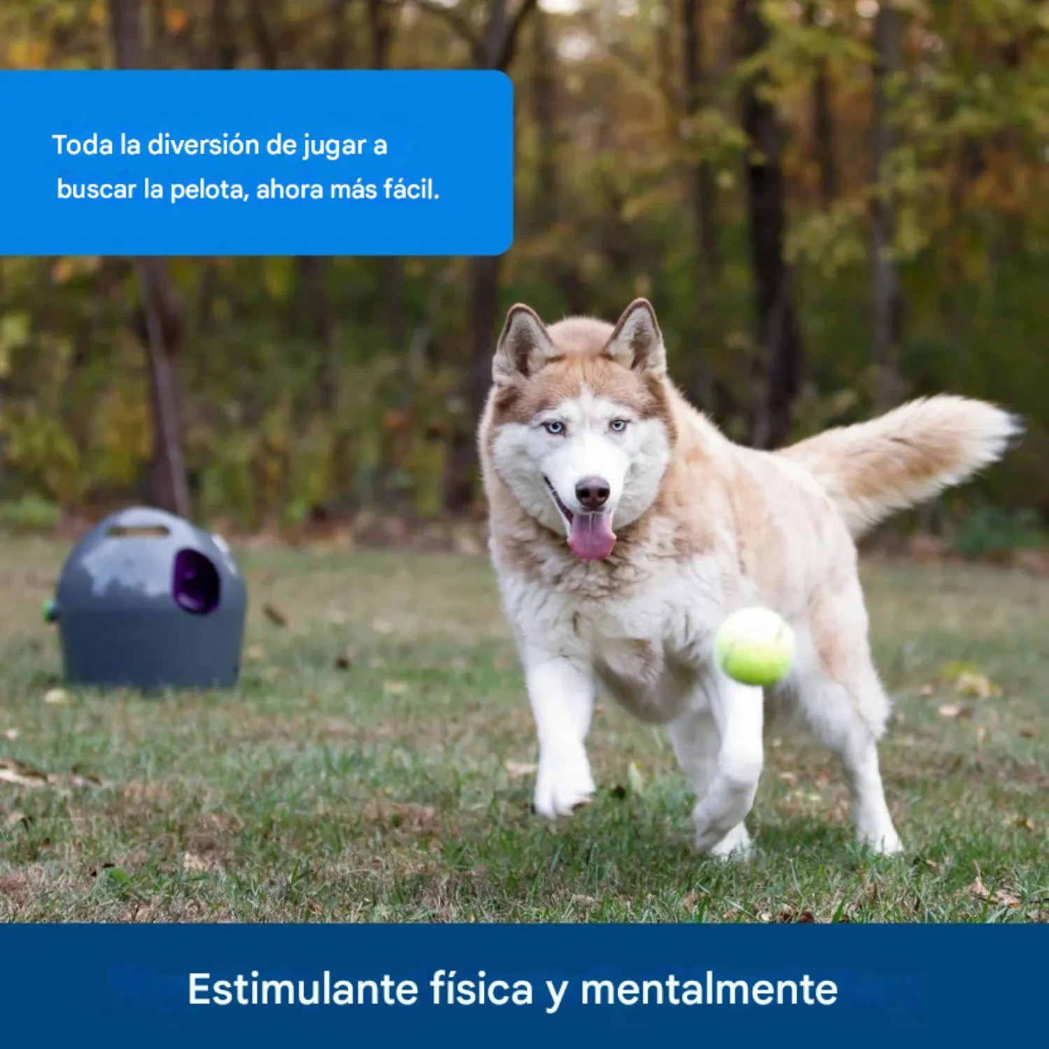 Lanzador de Pelotas PetSafe Automático para Perros con Rango Ajustable