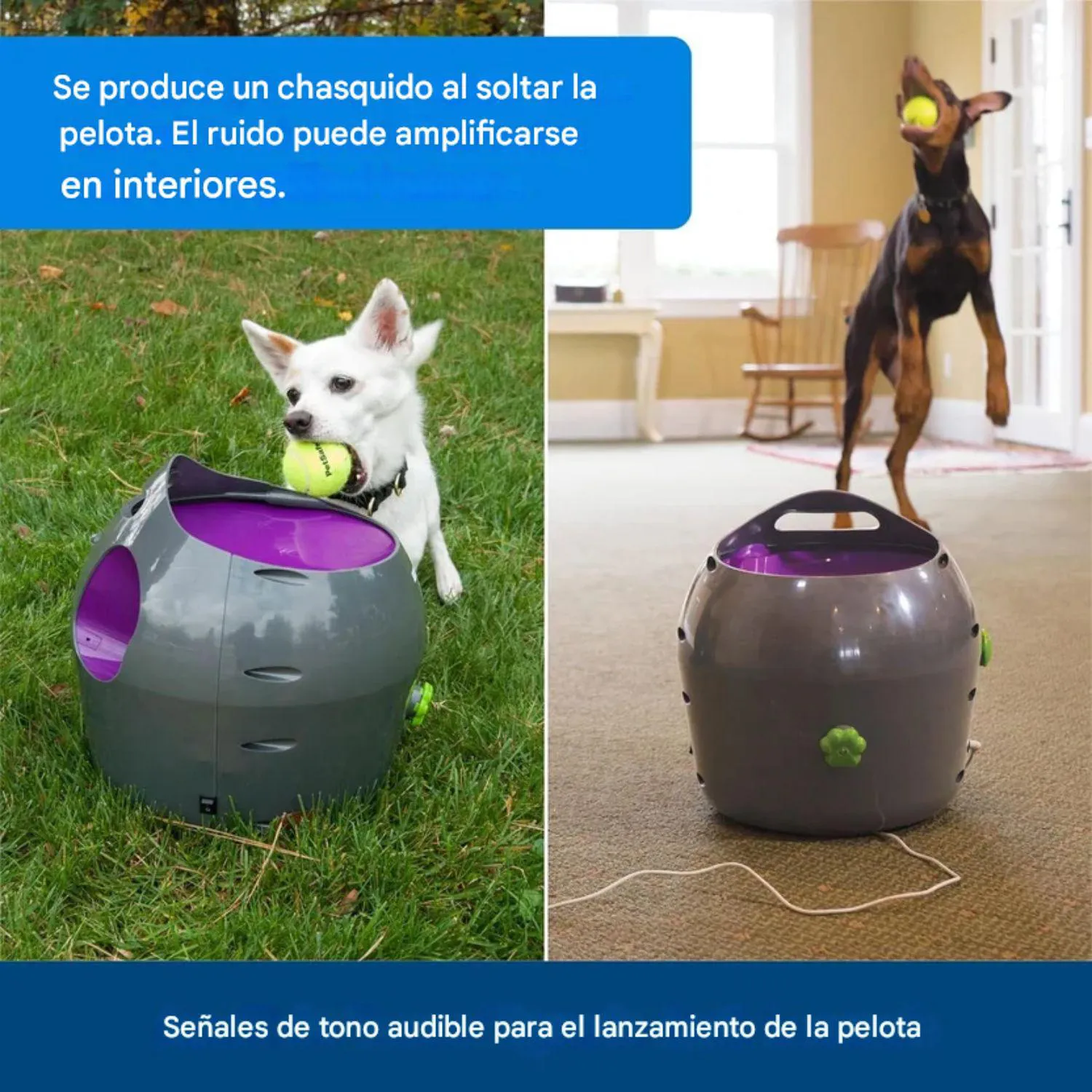 Lanzador de Pelotas PetSafe Automático para Perros con Rango Ajustable 3