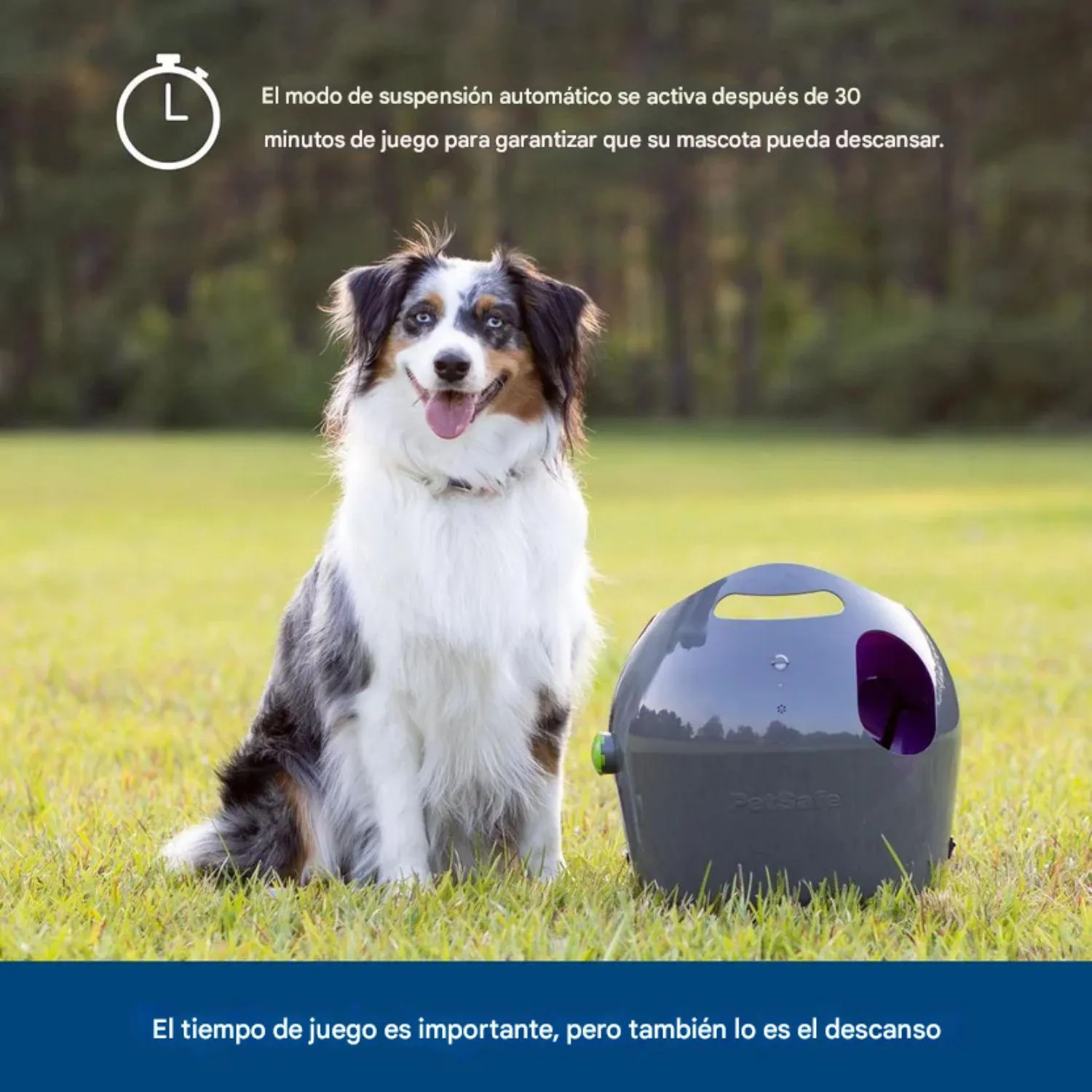 Lanzador de Pelotas PetSafe Automático para Perros con Rango Ajustable 4