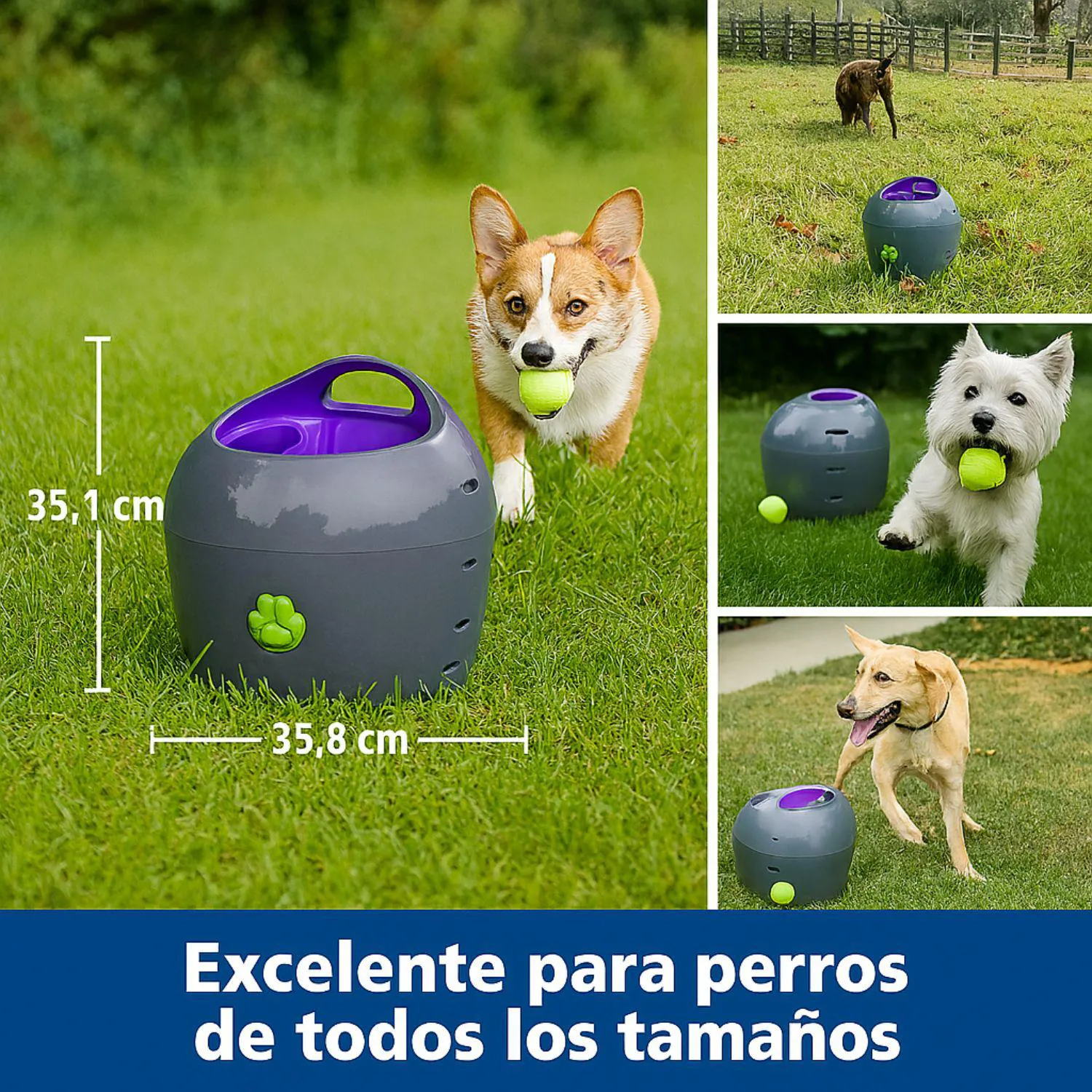 Lanzador de Pelotas PetSafe Automático para Perros con Rango Ajustable 5
