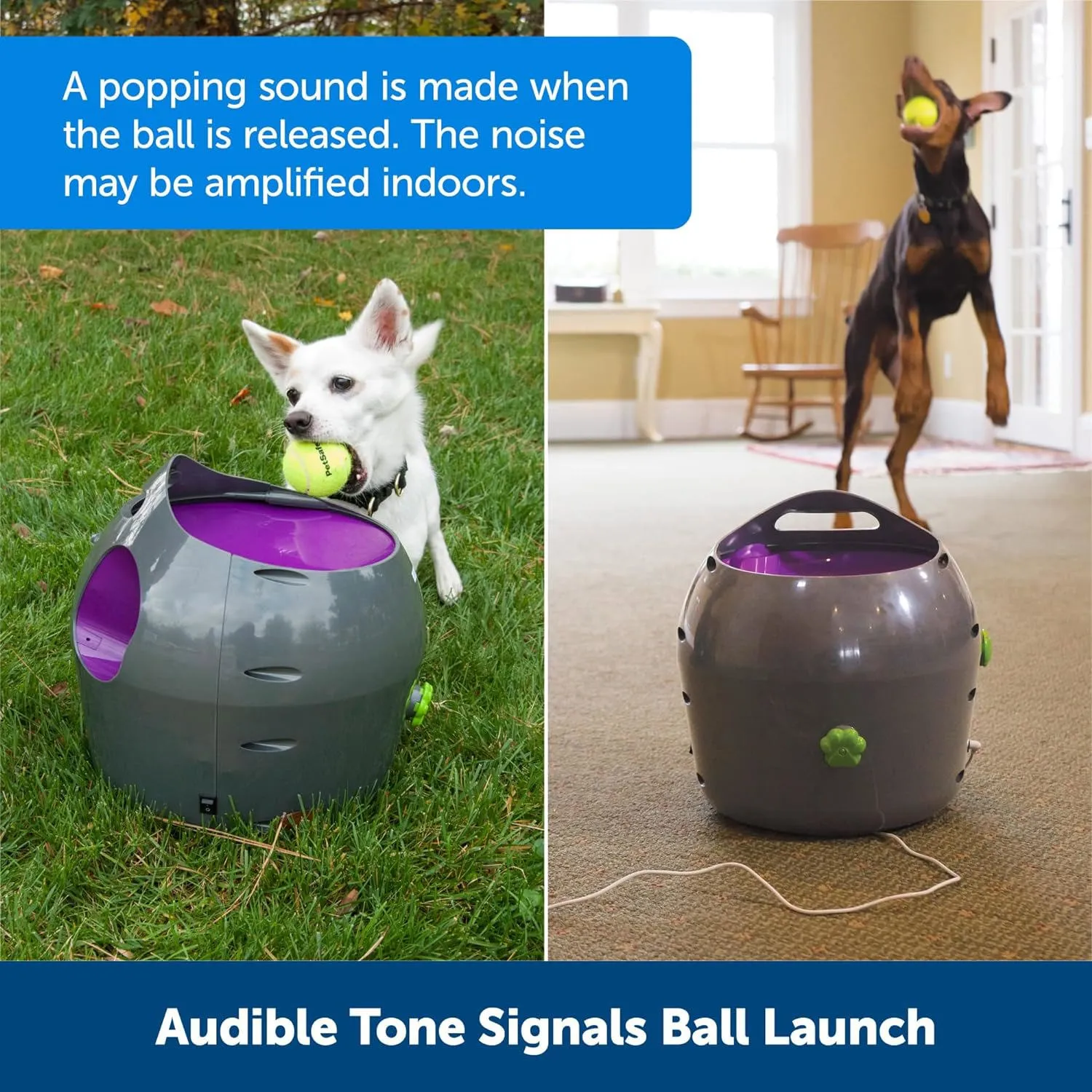 Lanzador de Pelotas PetSafe Automático para Perros con Rango Ajustable 9