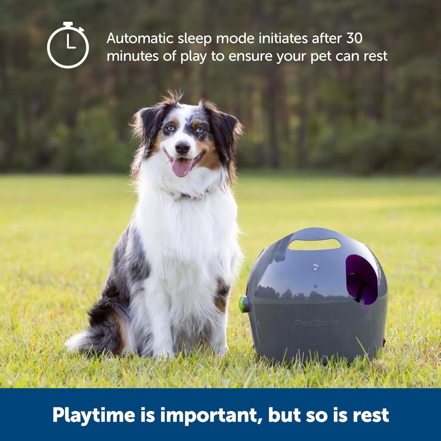 Lanzador de Pelotas PetSafe Automático para Perros con Rango Ajustable 10