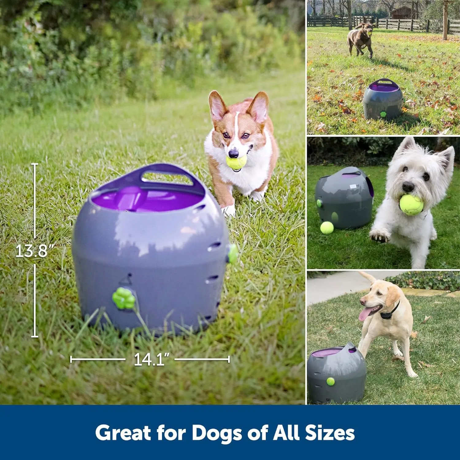 Lanzador de Pelotas PetSafe Automático para Perros con Rango Ajustable 11