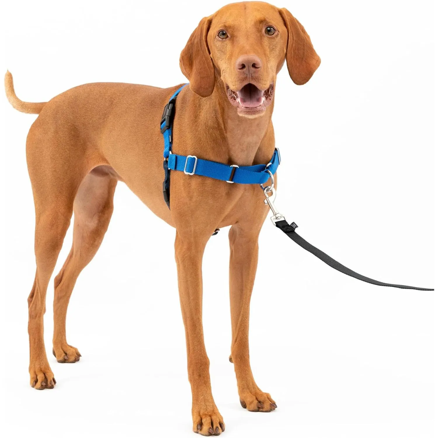 Arnés para Perros Nailon Antitirones Talla M Marca PetSafe 6