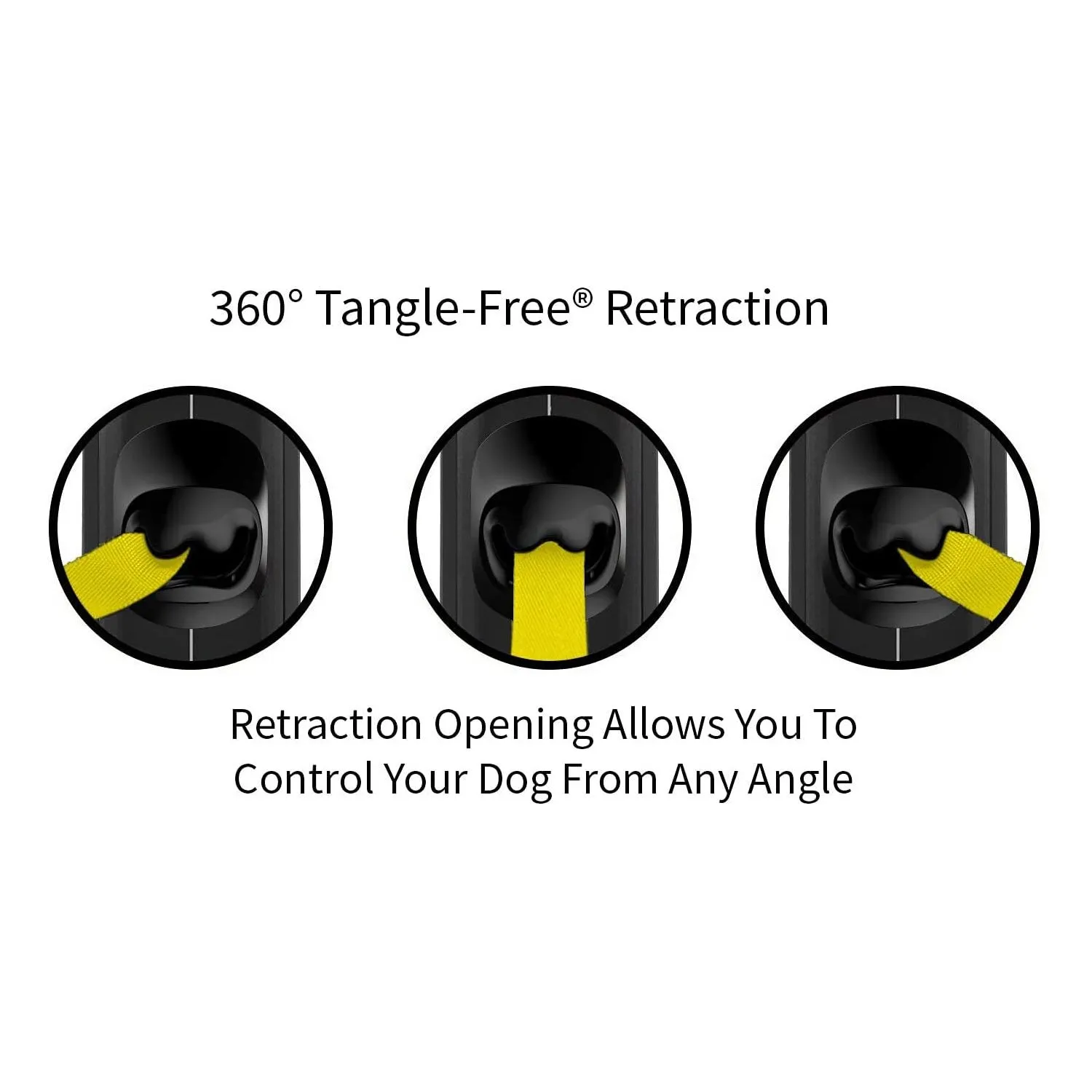 Correa Para Perro  Reflectante de 360° Sin Enredos 3