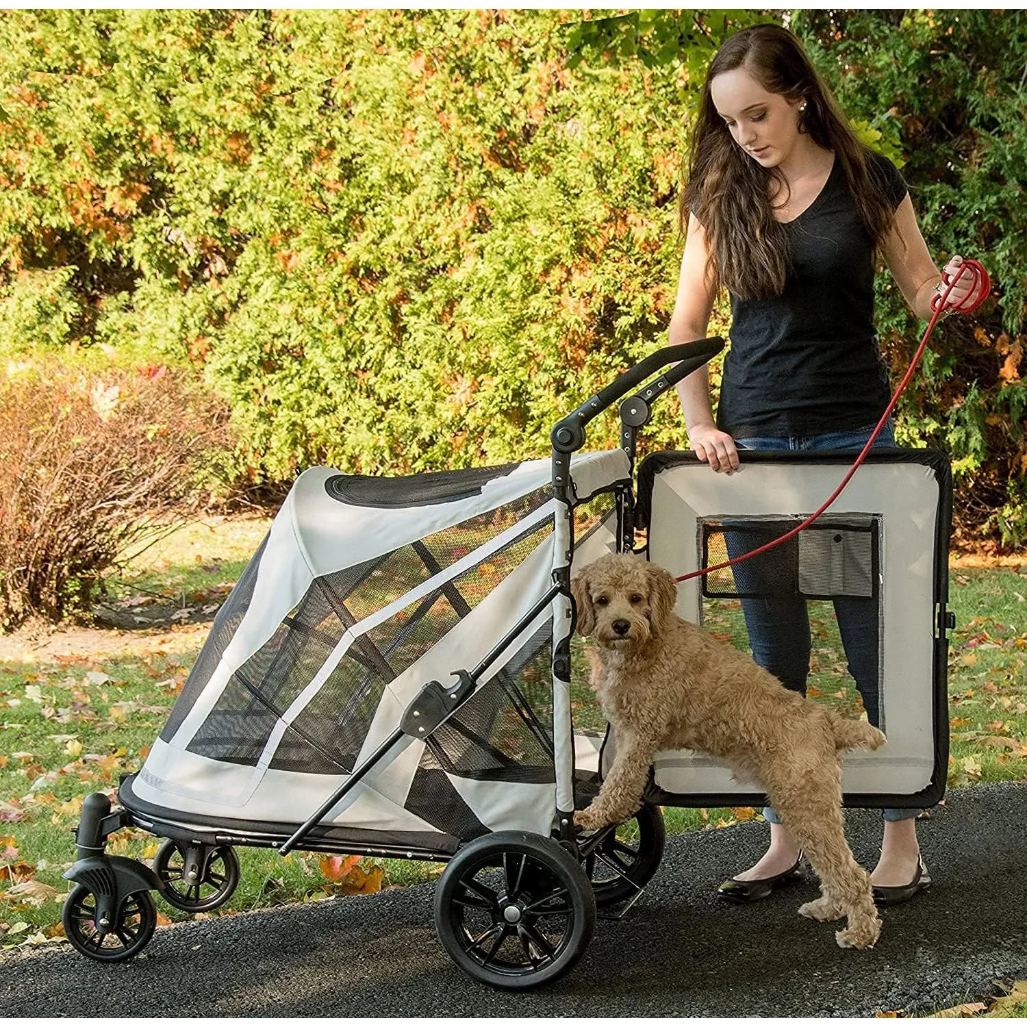 Coche Para Mascotas 100x58x97cm Grande Beige 4