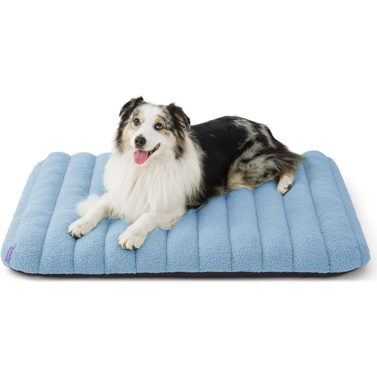 Dog Bed Lidl Puppy Pads Puppy Pads Lidl Lidl Puppy Pads Outlet
