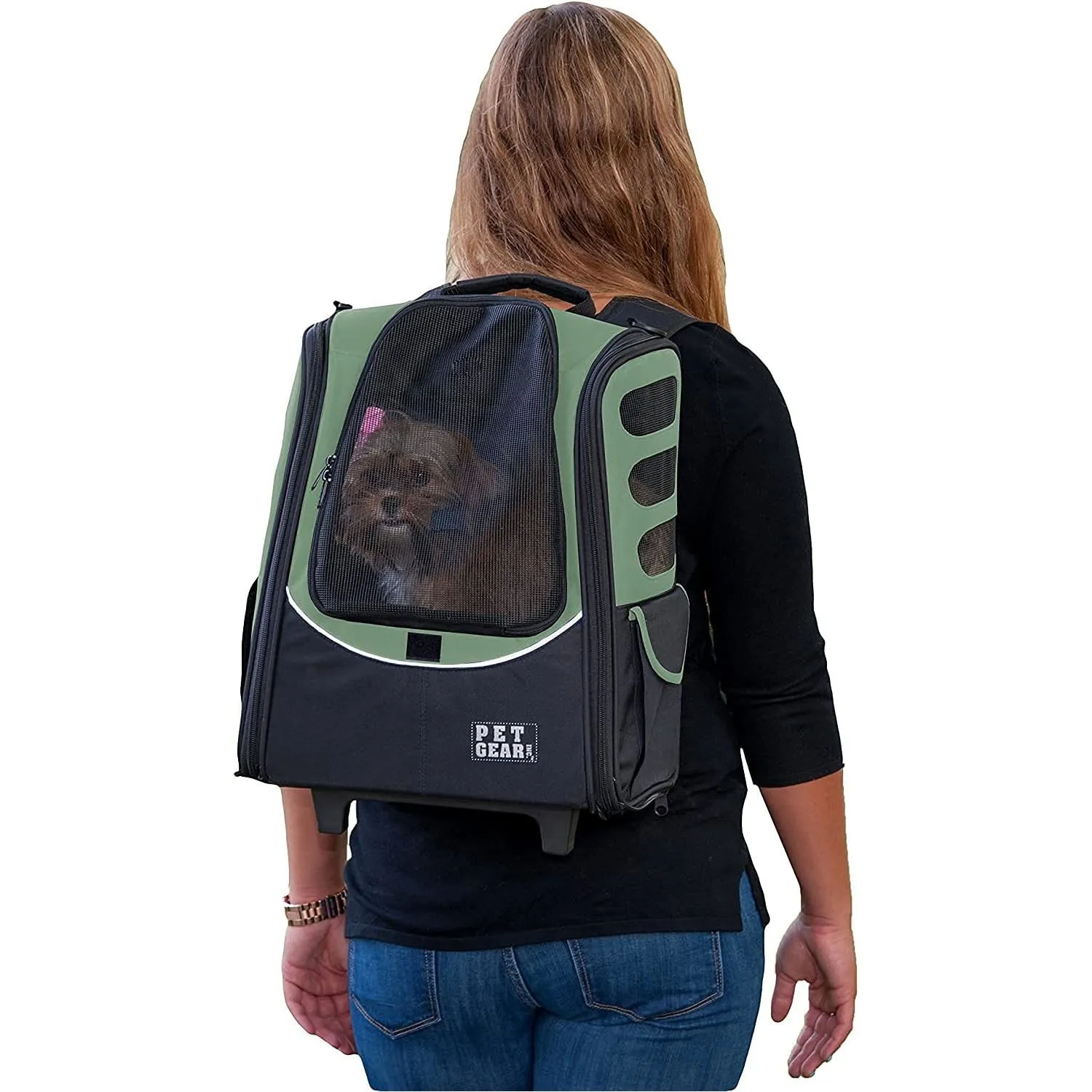 Asiento Automovil Para Perros 36x23x94cm PequeñoVerde