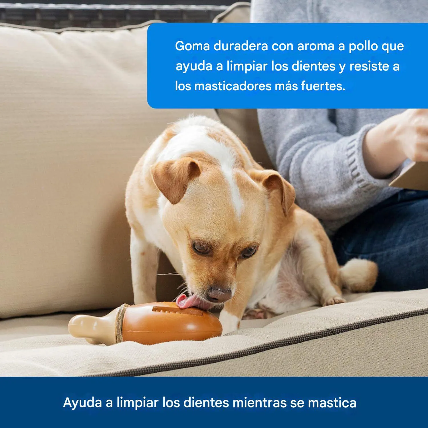 Juguete Interactivo con Anillos de Golosinas en Goma Perfumada sin BPA