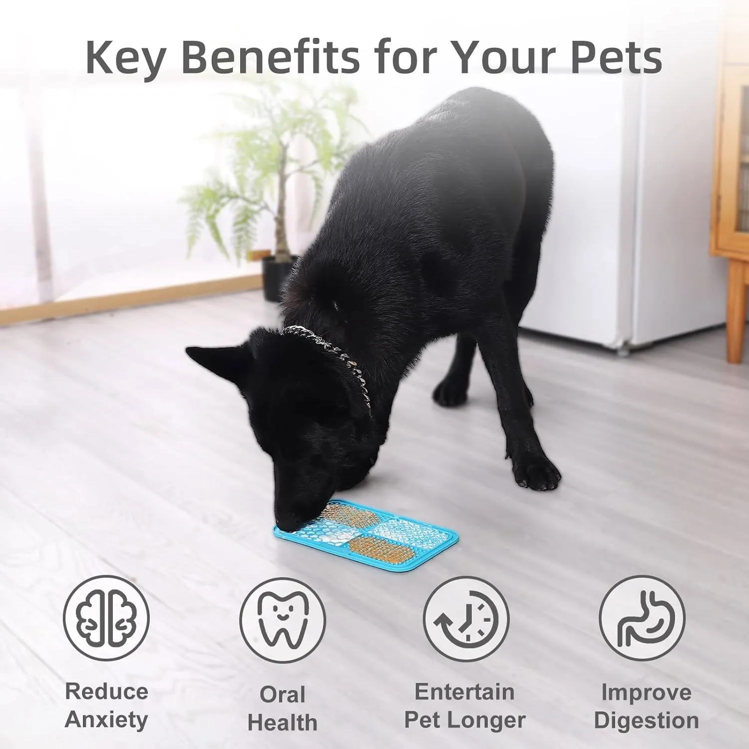 2 Alfombrillas Para Perro Tipo Comedero Grande Mateeylife 6