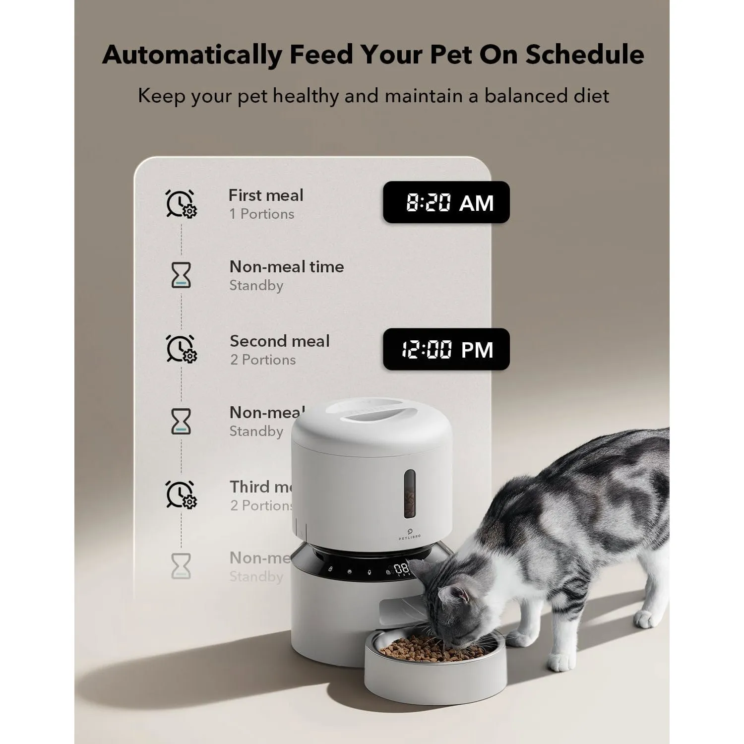 Dispensador Automático de Alimentos Secos para Gatos
