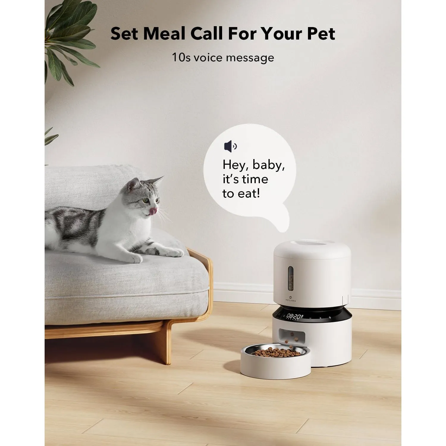 Dispensador Automático de Alimentos Secos para Gatos 4