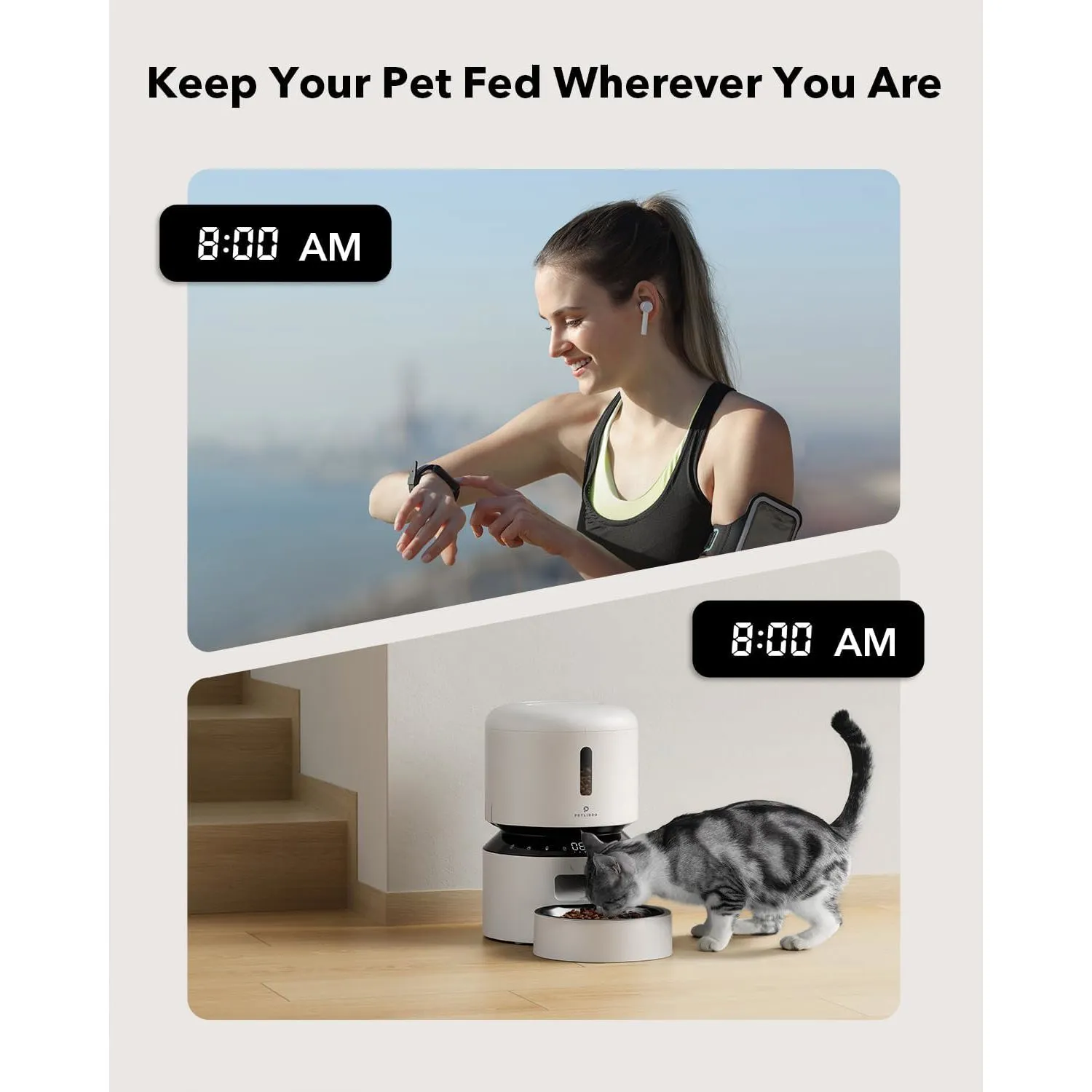 Dispensador Automático de Alimentos Secos para Gatos 5