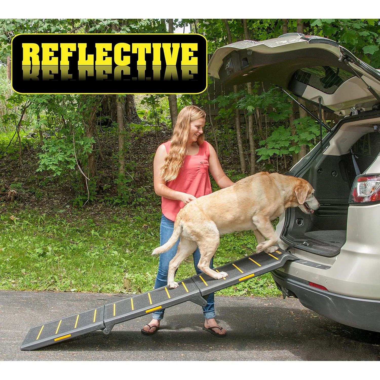 Rampa Portátil de Tres Pliegues para Perro Am9