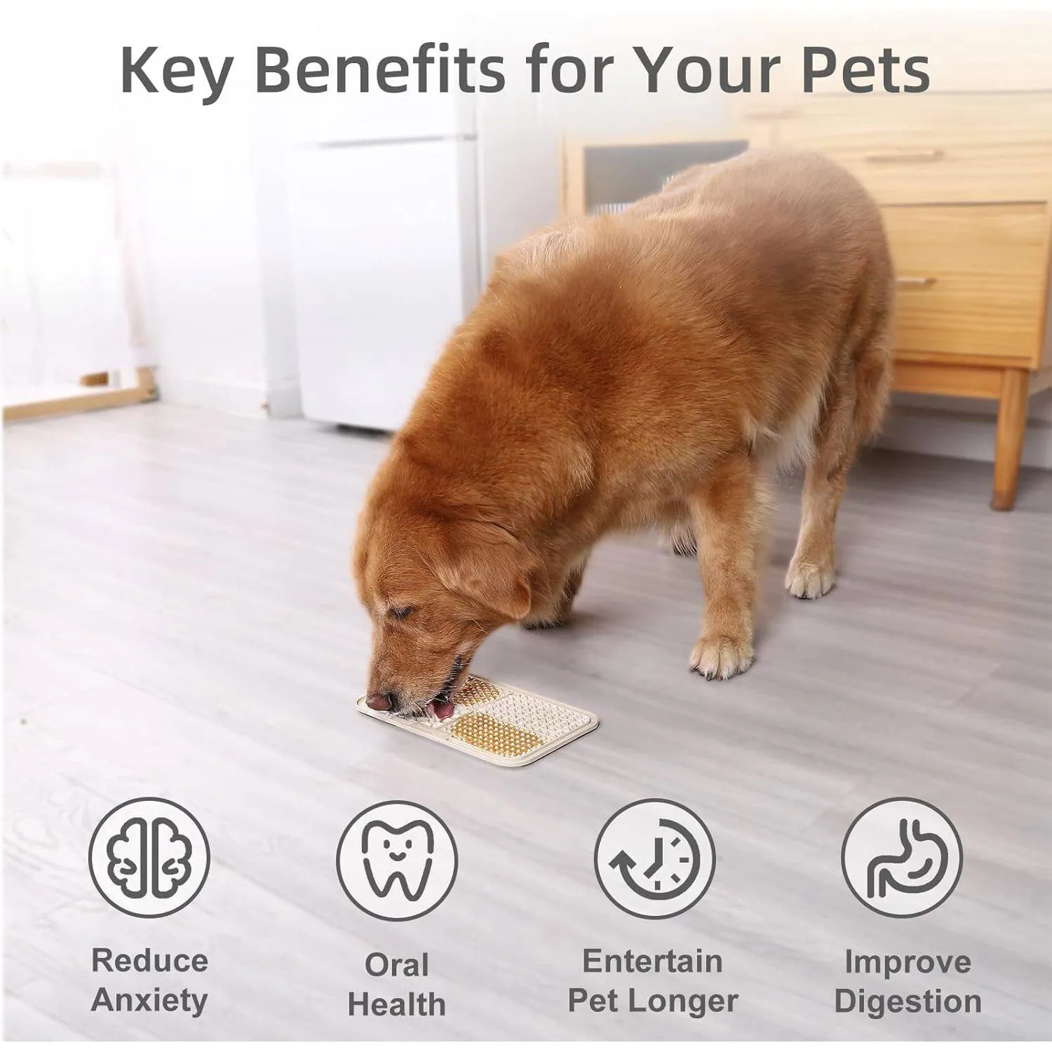 2 Comederos Para Perro Grande MateeYLife 6