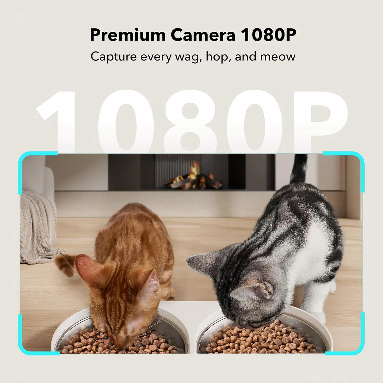 Comedero PETLIBRO con Cámara y Control por App para Dos Mascotas