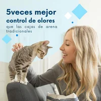 Caja De Arena Para Gatos 70x48x15cm Mediano Gris