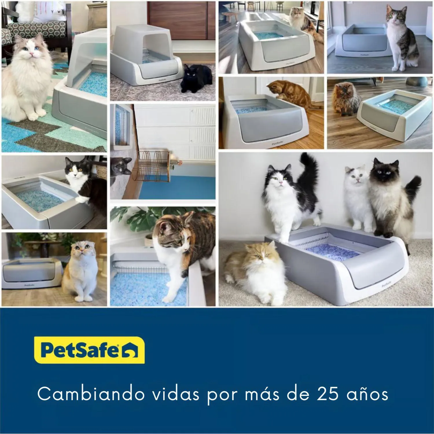 Caja De Arena Para Gatos 70x48x15cm Mediano Gris 5