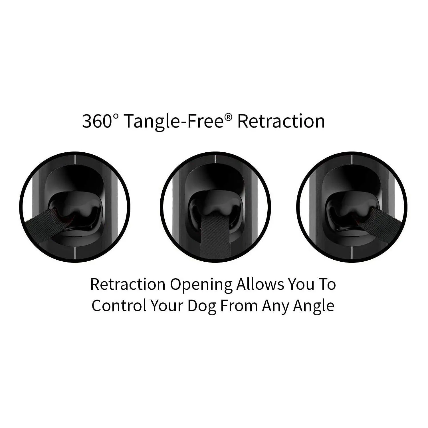 Correa Para Perro  Retráctil Ovalada de 360° Sin Enredos. 4