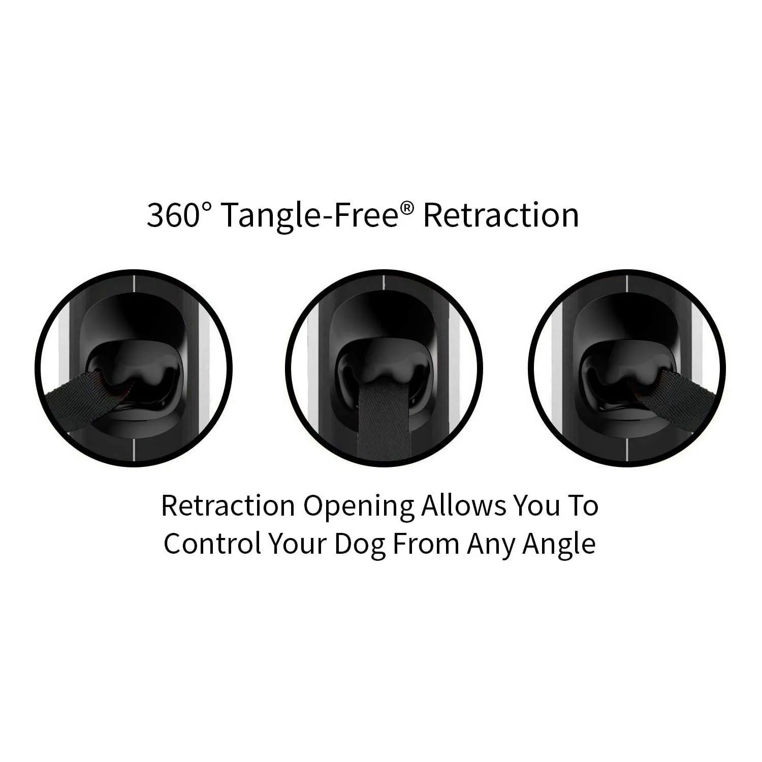 Correa De 360º Para Perro De Mango Antideslizante Boss 5
