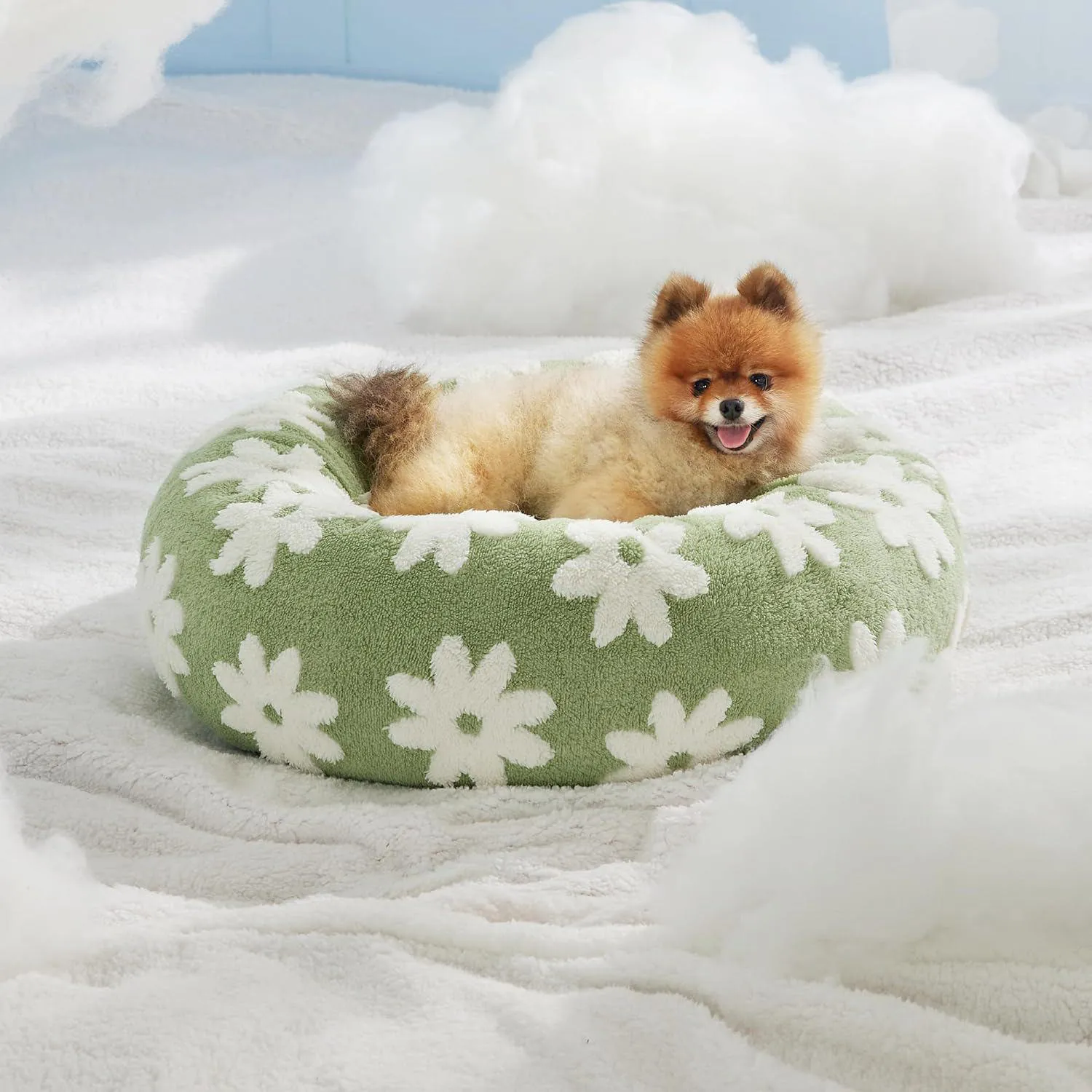 Cama para Perros Pequeños y Parte Inferior Antideslizante 5