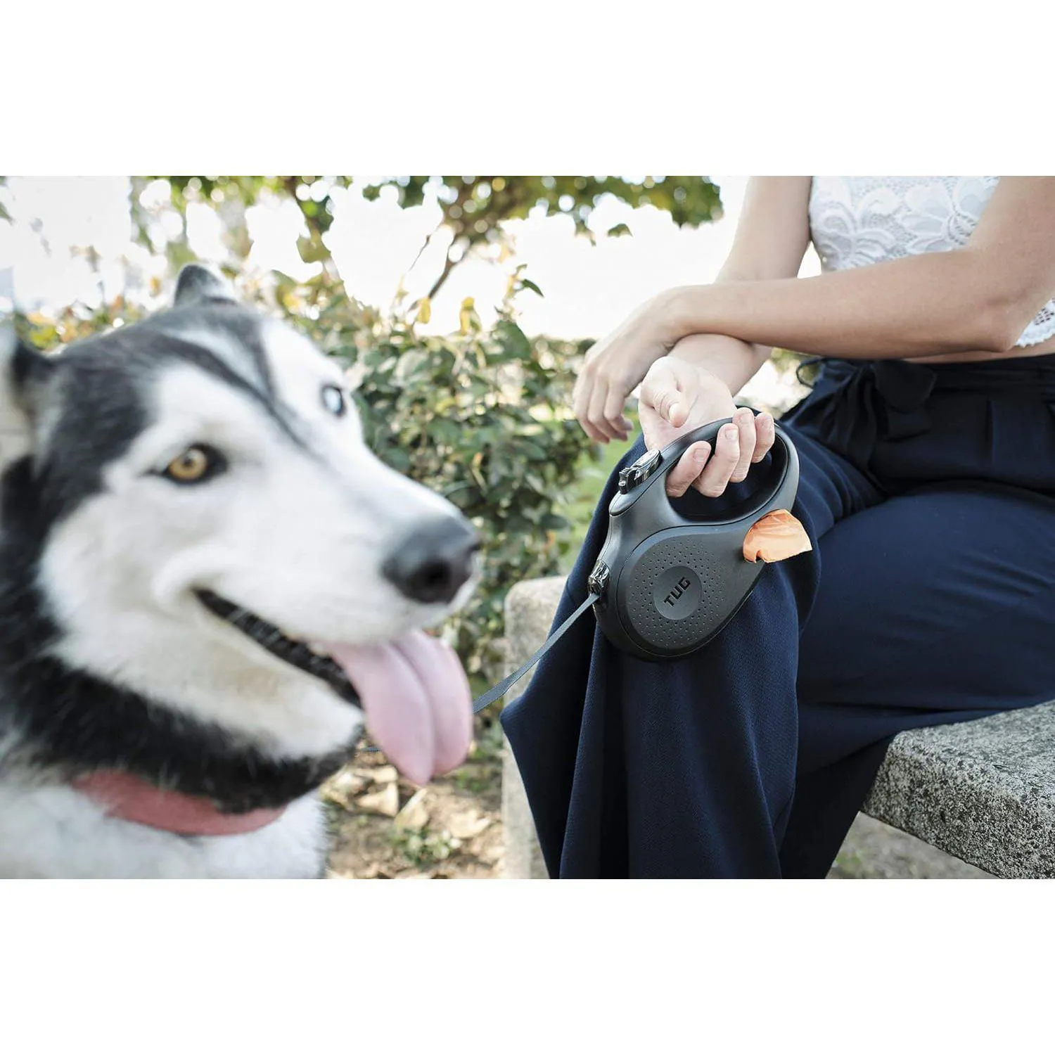 Correa Para Perro  Retráctil de 360° 5