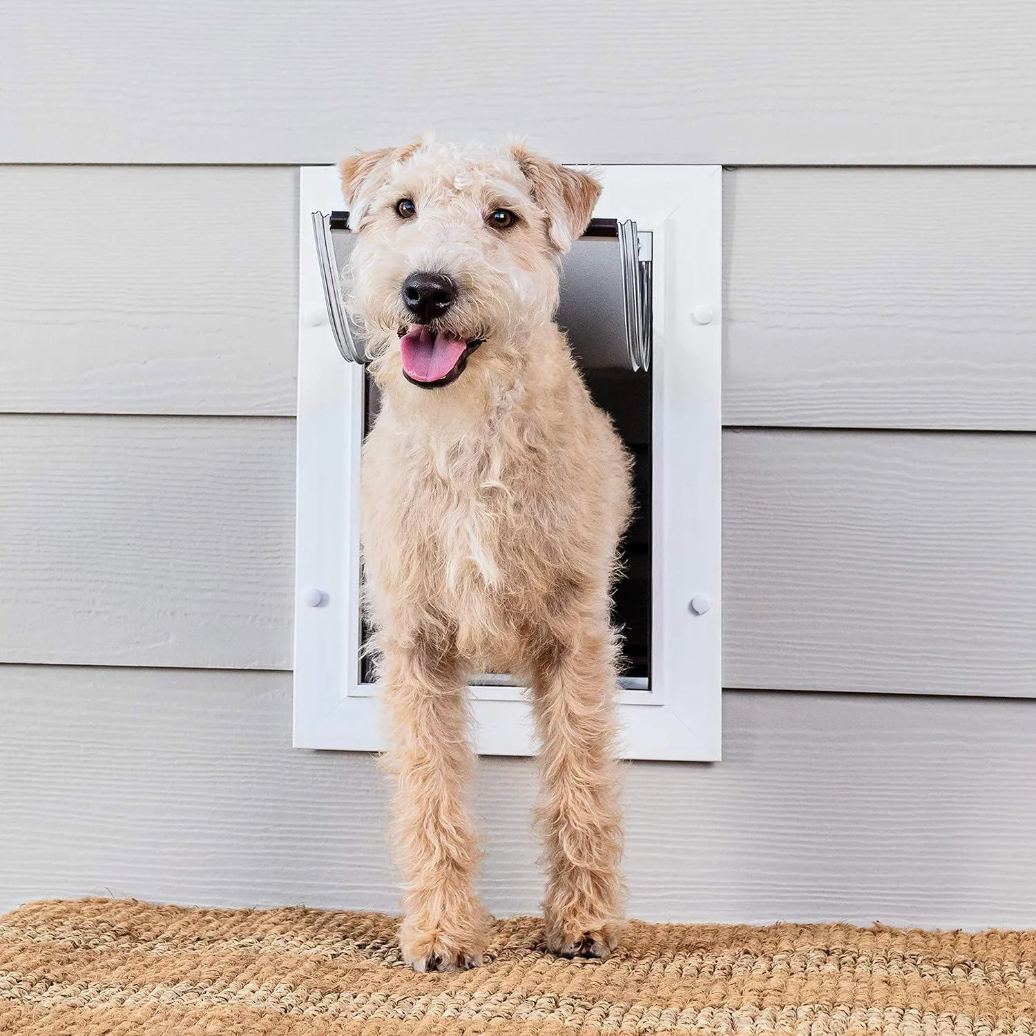 Puerta de Entrada de Pared para Mascotas
