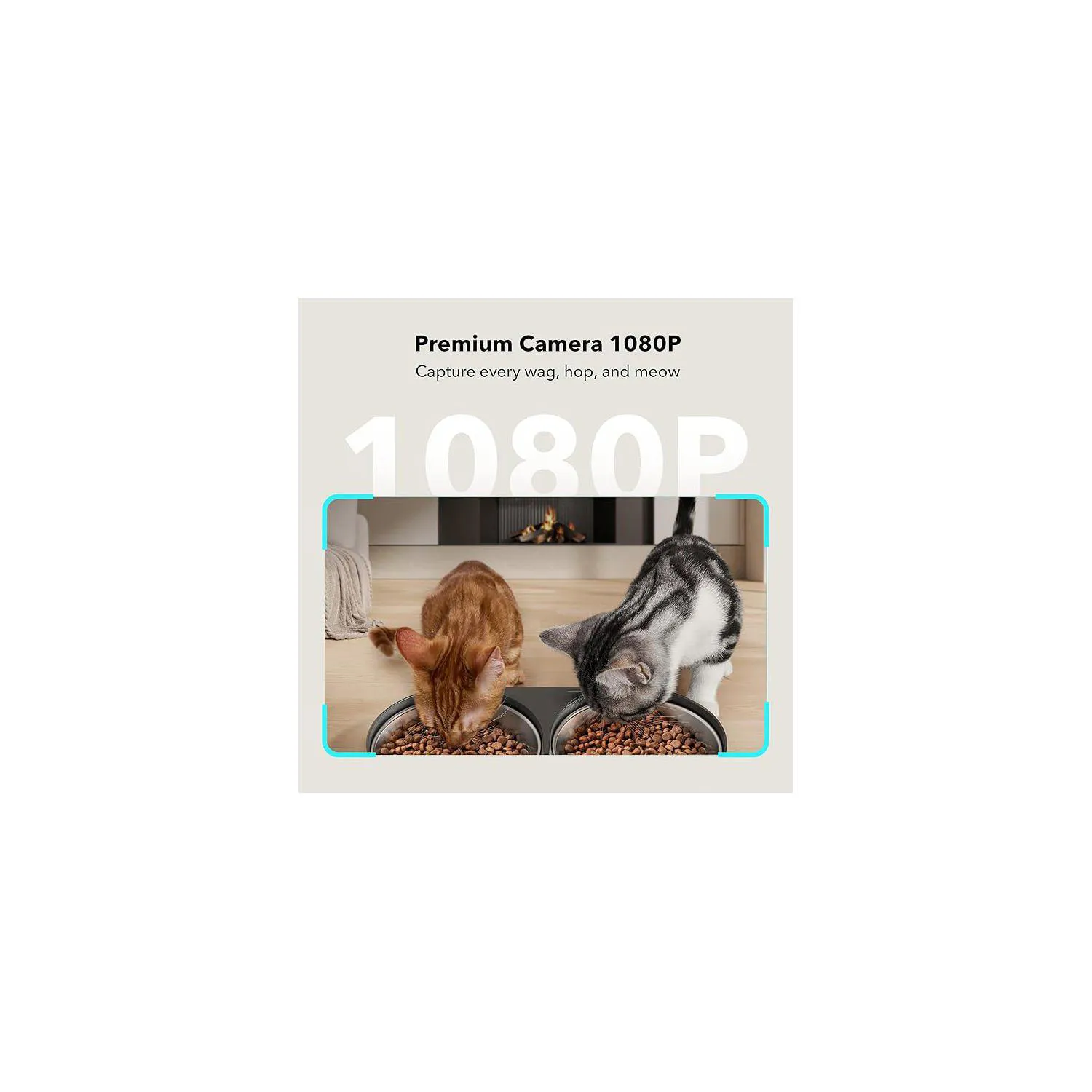 Comedero Automático para Gatos Petlibro Con Cámara y Doble Bandeja 5L