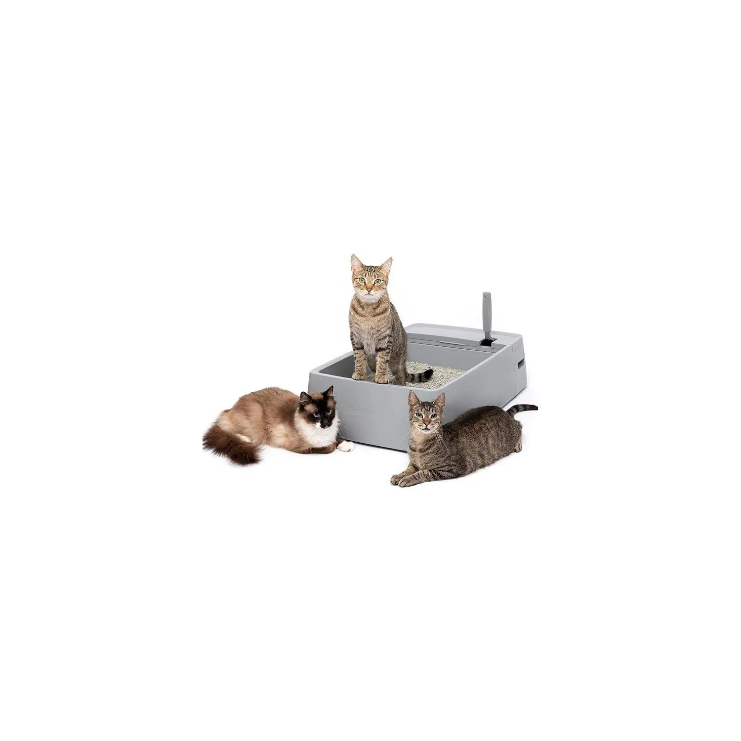 Arenero para Gatos Grande PetSafe con Compartimento Higiénico y Tapa Antiolores