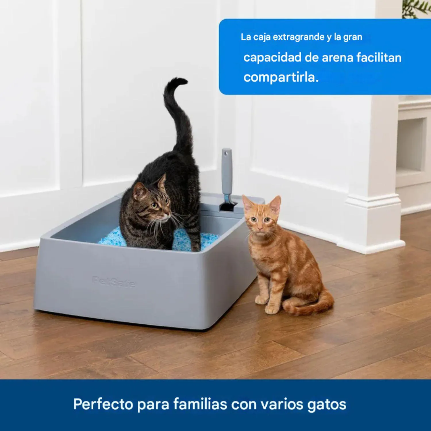 Arenero para Gatos Grande PetSafe con Compartimento Higiénico y Tapa Antiolores
