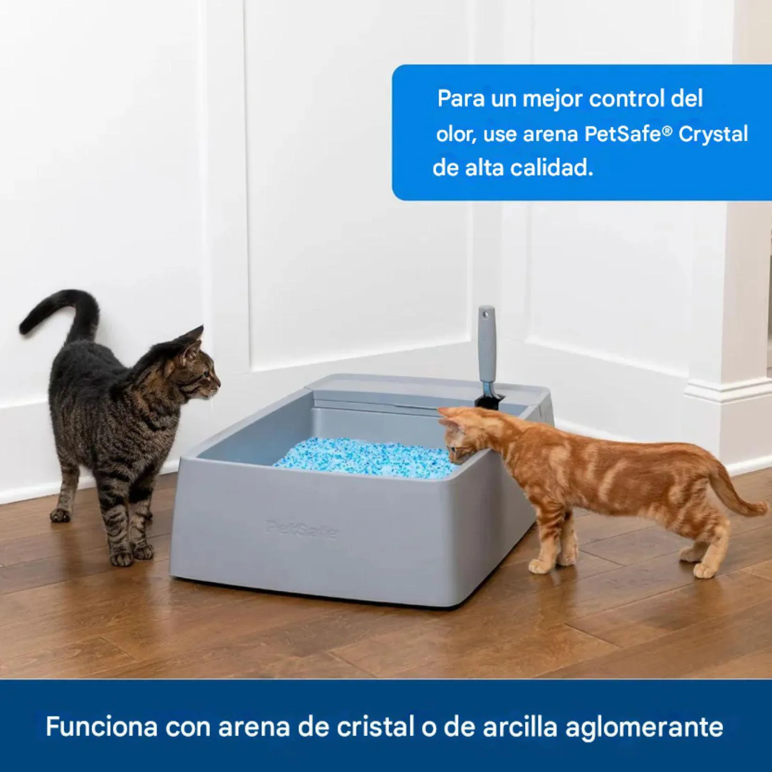Arenero para Gatos Grande PetSafe con Compartimento Higiénico y Tapa Antiolores 5