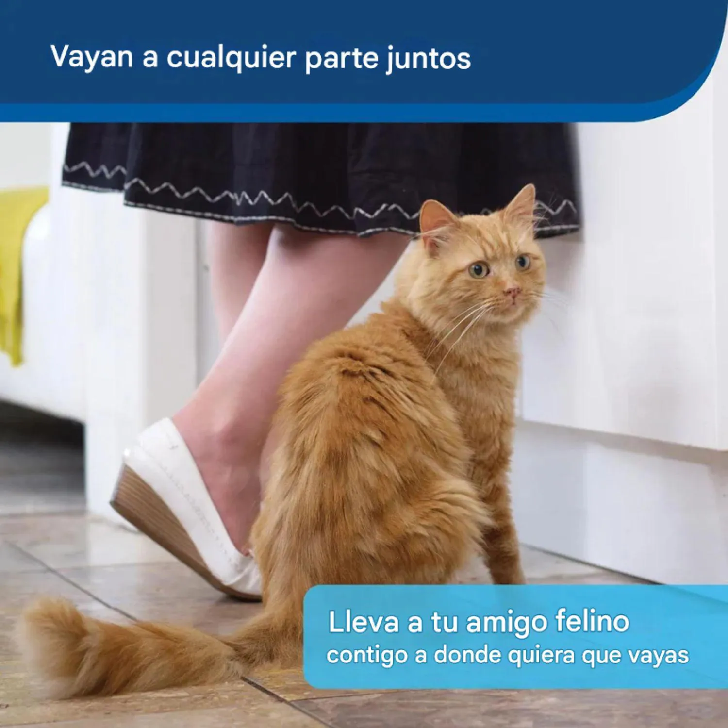 Arenero Desechable PetSafe con Arena de Cristal y Tapa Plegable 5