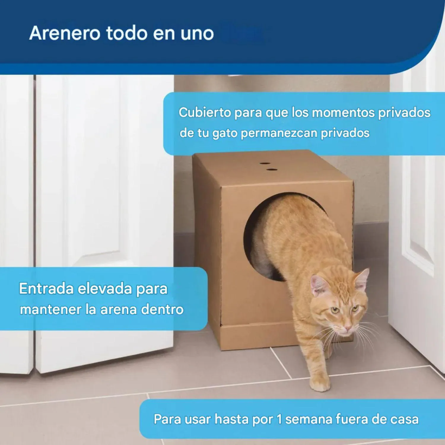 Arenero Desechable PetSafe con Arena de Cristal y Tapa Plegable 6