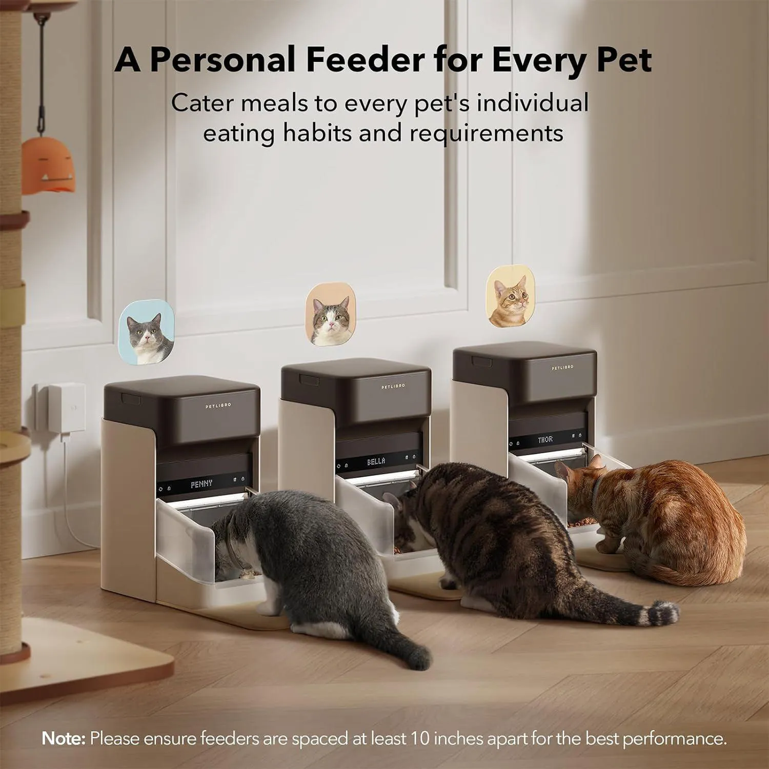 Comedero PETLIBRO RFID con Reconocimiento y Control por App para Gatos