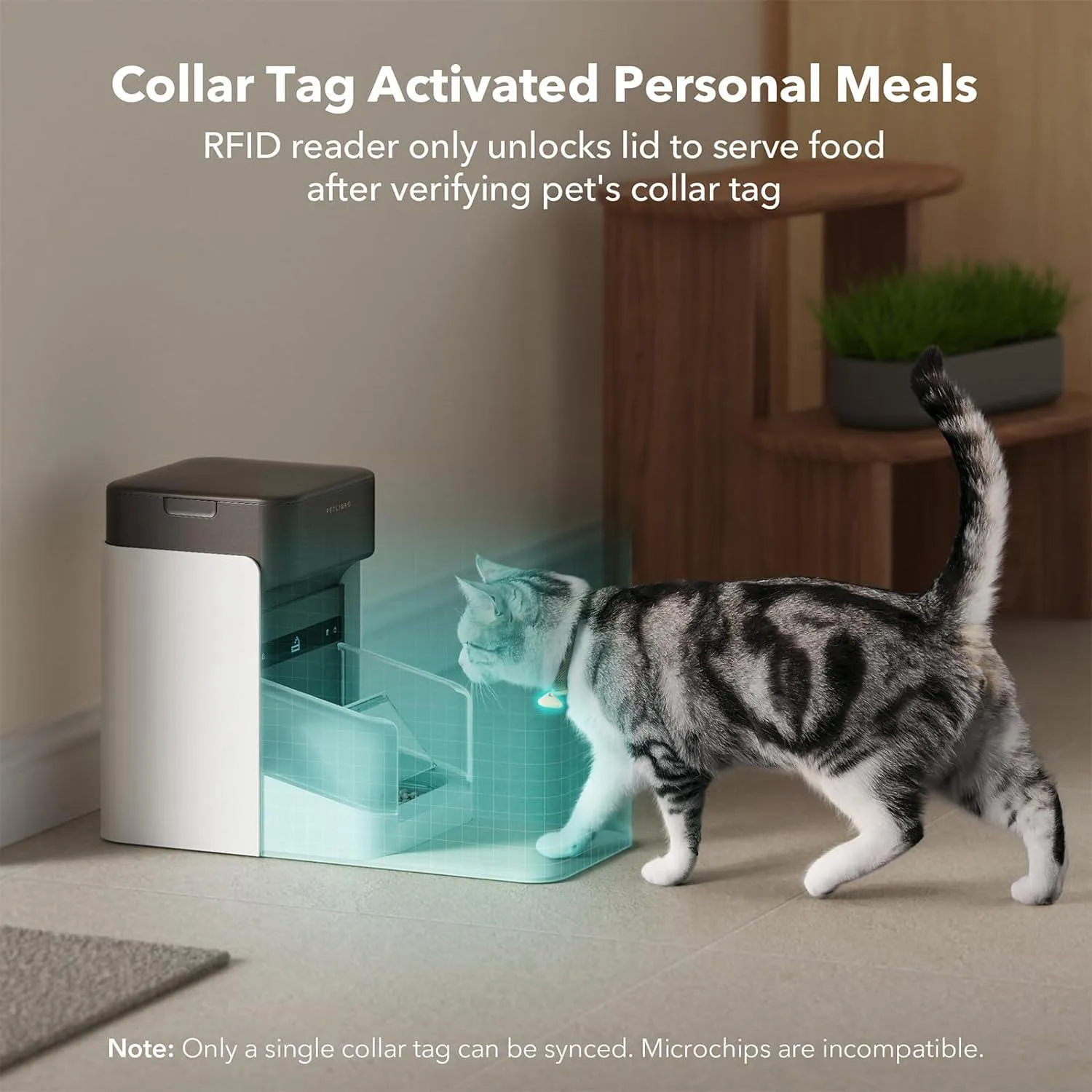 Comedero PETLIBRO RFID con Reconocimiento y Control por App para Gatos 3