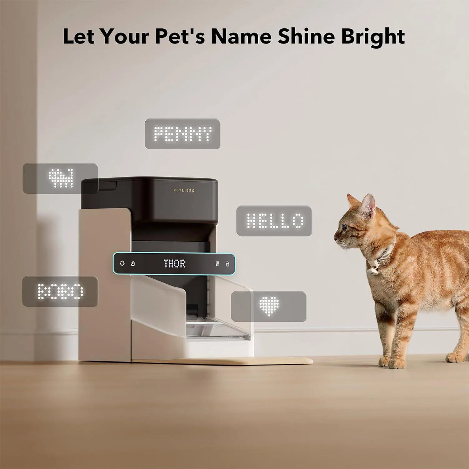 Comedero PETLIBRO RFID con Reconocimiento y Control por App para Gatos 5